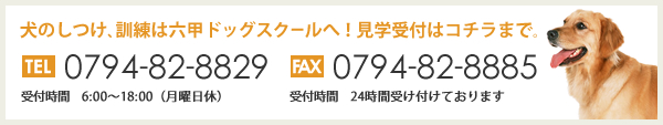 犬のしつけ、訓練は六甲ドッグスクールへ!見学受付はコチラまで。 TEl 0794-82-8829 FAX 0794-82-8885 受付時間 6:00~18:00(月曜日休) 受付時間 24時間受け付けております