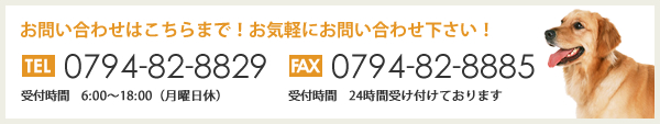 犬のしつけ、訓練は六甲ドッグスクールへ!見学受付はコチラまで。 TEl 0794-82-8829 FAX 0794-82-8885 受付時間 6:00~18:00(月曜日休) 受付時間 24時間受け付けております