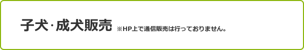 子犬・成犬販売