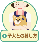 子犬との暮し方