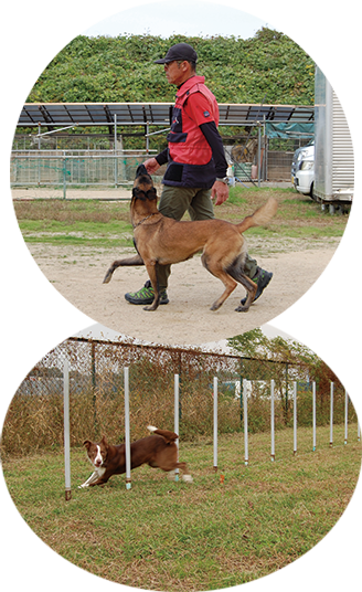 訓練所の特徴 | 六甲警察犬訓練所・六甲ドッグスクール
