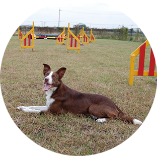 安心、ご納得の低価格設定 イメージ