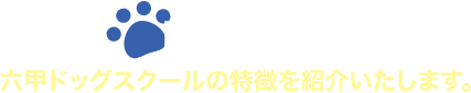 Feature六甲ドッグスクールの特徴を紹介いたします。