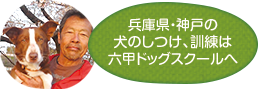 兵庫県・神戸の犬のしつけ、訓練は六甲ドッグスクールへ