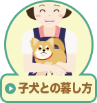 子犬との暮し方