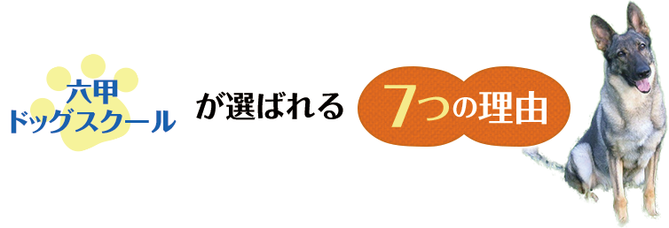 六甲ドッグスクールが選ばれる７つの理由