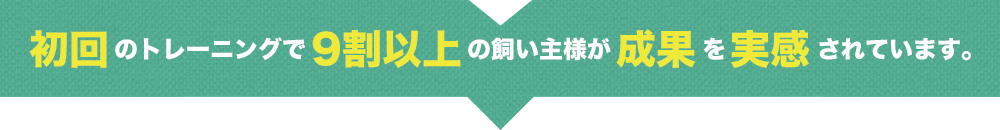 初回のトレーニングで9割以上の飼い主様が成果を実感されています。