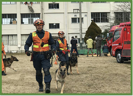 家庭犬のしつけ訓練イメージ