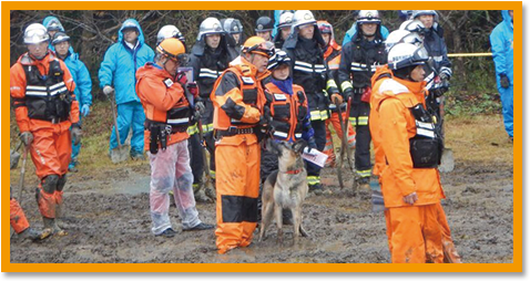 救助犬の模擬試験イメージ