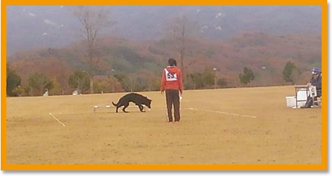 嘱託警察犬試験イメージ