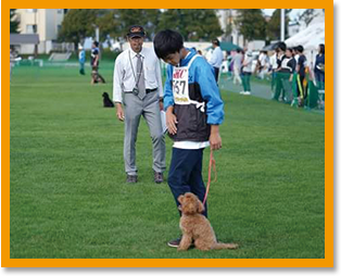 競技会へ参加イメージ