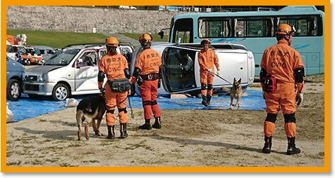 救助犬の模擬試験イメージ